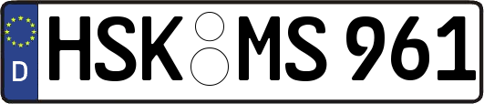HSK-MS961