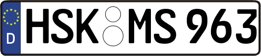 HSK-MS963