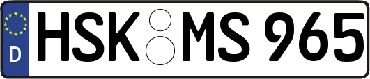 HSK-MS965