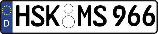 HSK-MS966