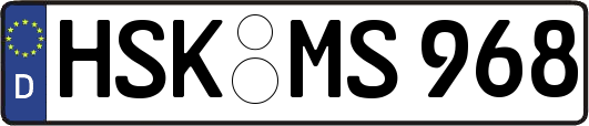 HSK-MS968
