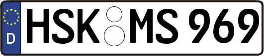 HSK-MS969