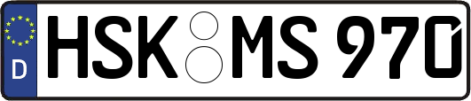 HSK-MS970