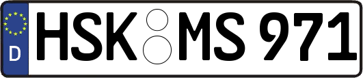 HSK-MS971