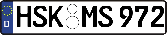 HSK-MS972