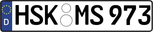 HSK-MS973