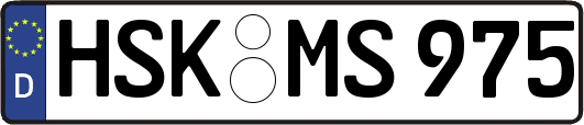 HSK-MS975