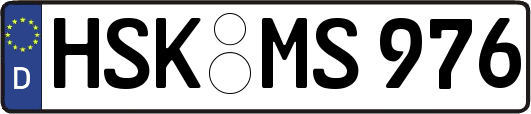 HSK-MS976