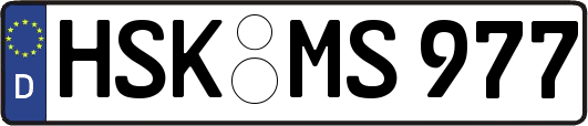 HSK-MS977