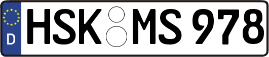 HSK-MS978