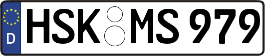 HSK-MS979