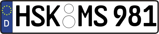 HSK-MS981