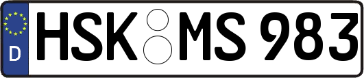 HSK-MS983