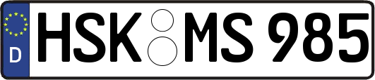 HSK-MS985