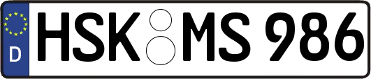 HSK-MS986