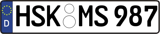 HSK-MS987