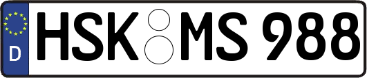 HSK-MS988