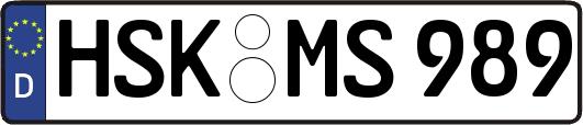 HSK-MS989