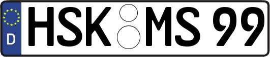 HSK-MS99