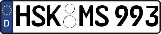 HSK-MS993