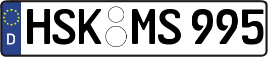 HSK-MS995