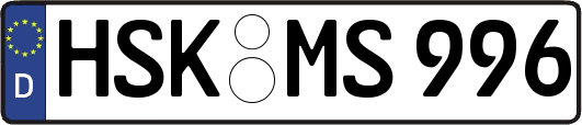 HSK-MS996