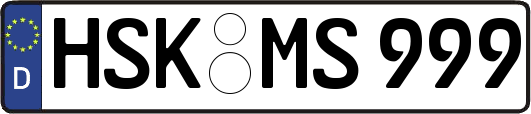 HSK-MS999