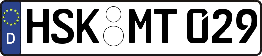 HSK-MT029