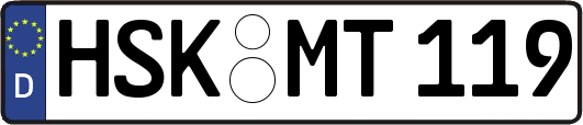 HSK-MT119