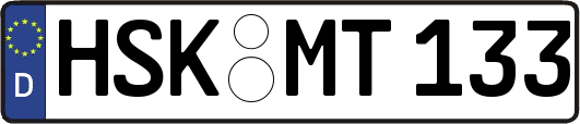 HSK-MT133