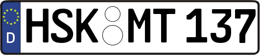 HSK-MT137