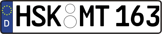 HSK-MT163
