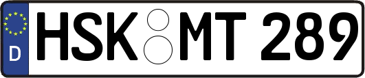 HSK-MT289