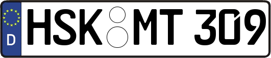HSK-MT309