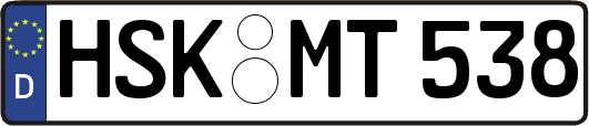 HSK-MT538