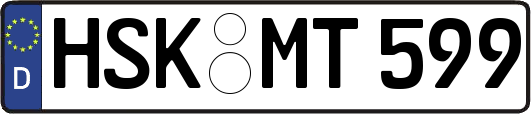 HSK-MT599