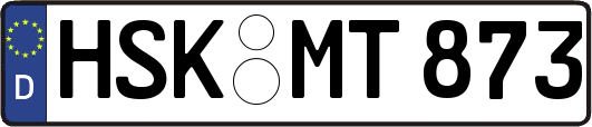 HSK-MT873