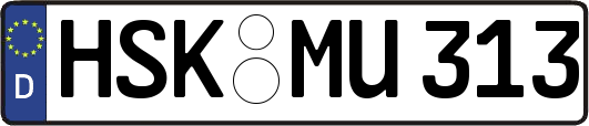 HSK-MU313