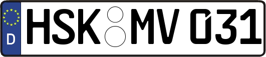 HSK-MV031