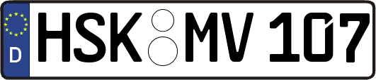 HSK-MV107