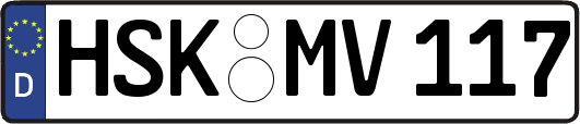 HSK-MV117