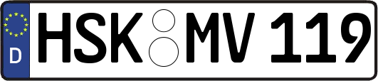 HSK-MV119