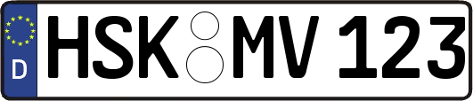 HSK-MV123