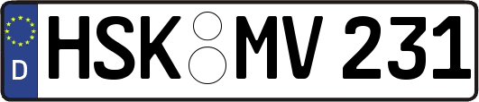 HSK-MV231