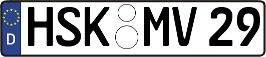 HSK-MV29