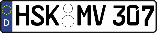 HSK-MV307
