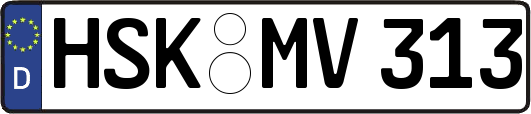 HSK-MV313