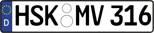 HSK-MV316
