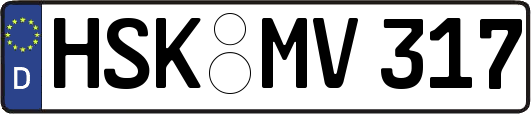 HSK-MV317