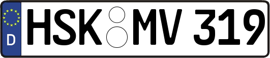 HSK-MV319